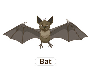 Forest animal bat cartoon vector illustration