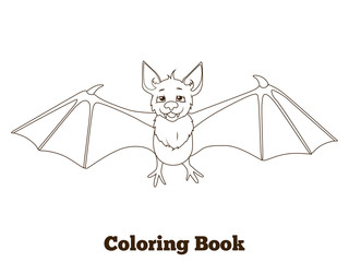 Coloring book forest animal bat cartoon
