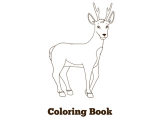 Coloring book forest animal roe deer cartoon