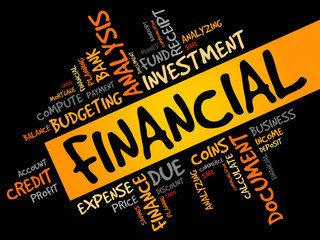 FINANCIAL word cloud, business concept