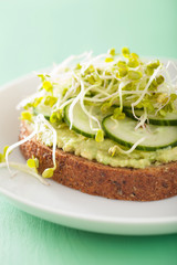 healthy rye bread with avocado cucumber radish sprouts