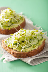 healthy rye bread with avocado cucumber radish sprouts