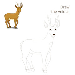 Draw the forest animal roe deer cartoon
