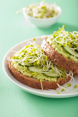 healthy rye bread with avocado cucumber radish sprouts