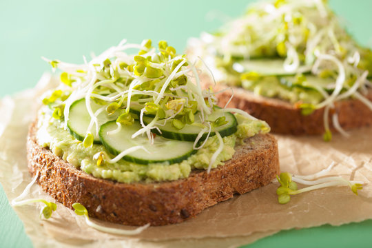healthy rye bread with avocado cucumber radish sprouts