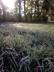 Herbst Frost
