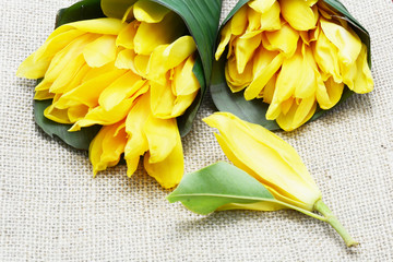 Naklejka premium ylang ylang 