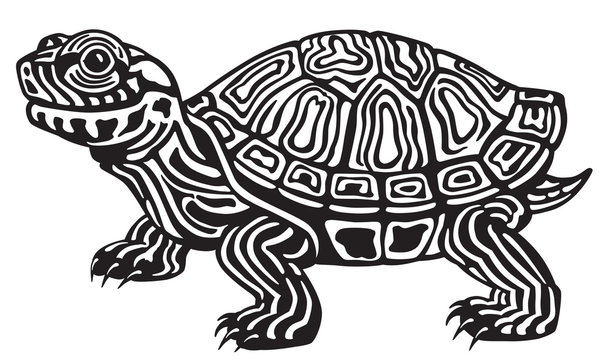 cartoon red eared slider turtle. Black and white image
