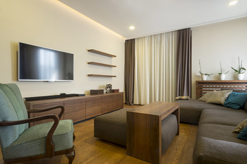 Interior of a modern living room