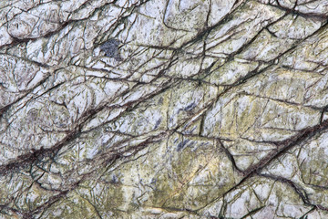 Cracked marble. Seamless texture.
