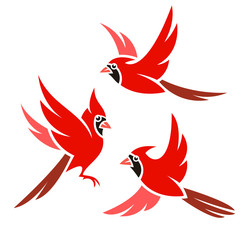Stylized Bird - Northern Cardinal
