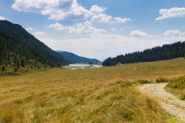 Beautiful alpine panorama