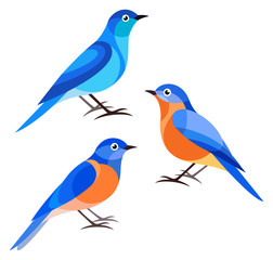 Stylized Birds - Bluebird