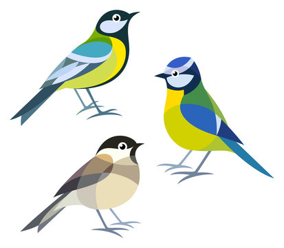 Stylized Birds - Great Tit, Blue Tit, Willow Tit