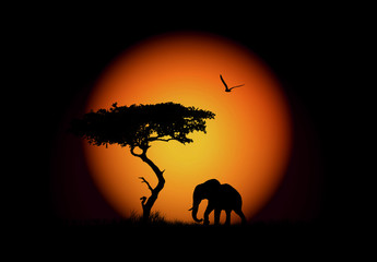África, elefante, sol, ilustración, fondo negro