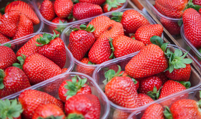 Fine ripe strawberries at market stall