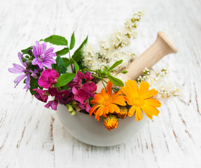 wild flower and herb leaf in mortar