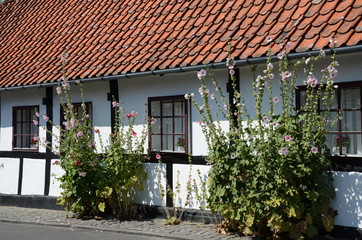 Fototapeta na wymiar House in Bornholm