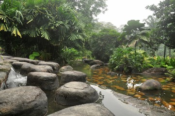 tropical jungle in kuala lumpur malaysia