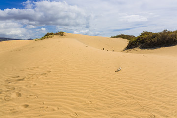 Maspalomas Duna - Desert in Canary island Gran Canaria