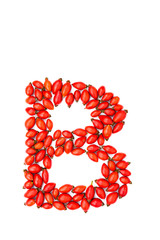 Red hip rose capital letter b