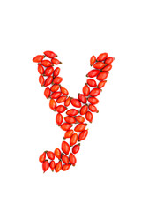 Red hip rose letter y