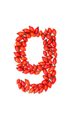 Red hip rose letter g