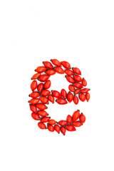 Red hip rose letter e