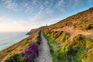 Summer at Wheal Coates