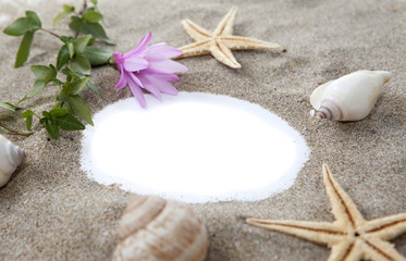 Fototapeta na wymiar sable et coquillage publicité