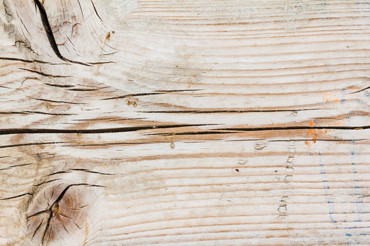 Wood knaggy Texture close up