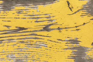 Painted Wood Texture