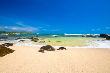 Untouched tropical beach in Sri Lanka
