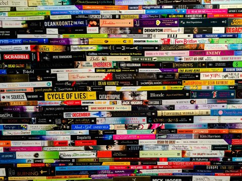 Wall of books piles up like bricks