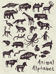 Animal Alphabet