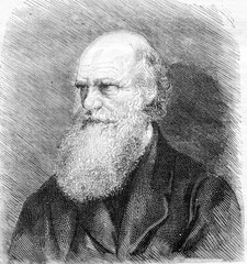 Charles Darwin died in April of 1882 after a photograph, vintage - obrazy, fototapety, plakaty