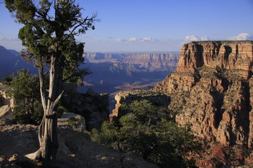 Fototapeta na wymiar au bord du Grand Canyon