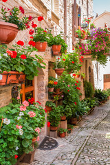 Fototapeta na wymiar Full of flower porch in small town in Italy, Umbria
