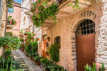 Fototapeta na wymiar Full of flower street in small town in Italy, Umbria