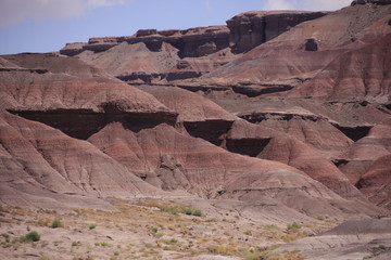 paysage de l'Arizona