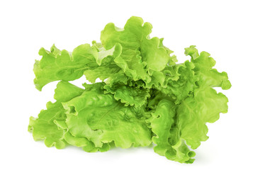 Lettuce leaves isolated on white background