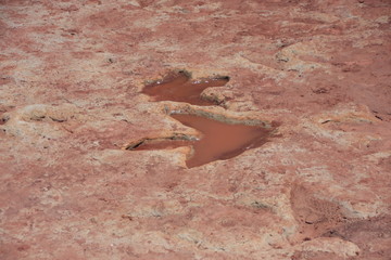 empreintes de dinosaures