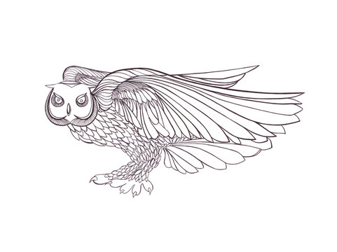 Graphic illustration of flying owl. Black and white style. Hand