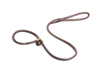 Naklejka premium lead-stranglehold for dog