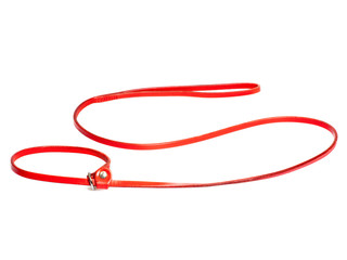 Naklejka premium lead-stranglehold for dog