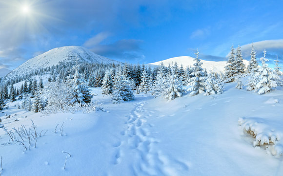 Morning winter mountain panorama.
