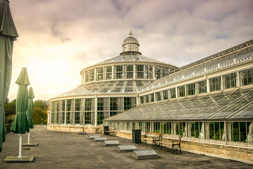Fototapeta na wymiar Botanical gardens in Coppanhagen
