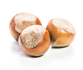 Hazelnuts isolated