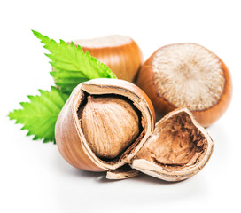 Hazelnuts isolated