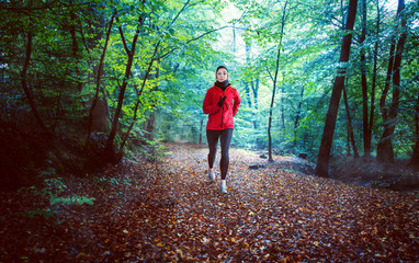 Obraz premium Forest Run